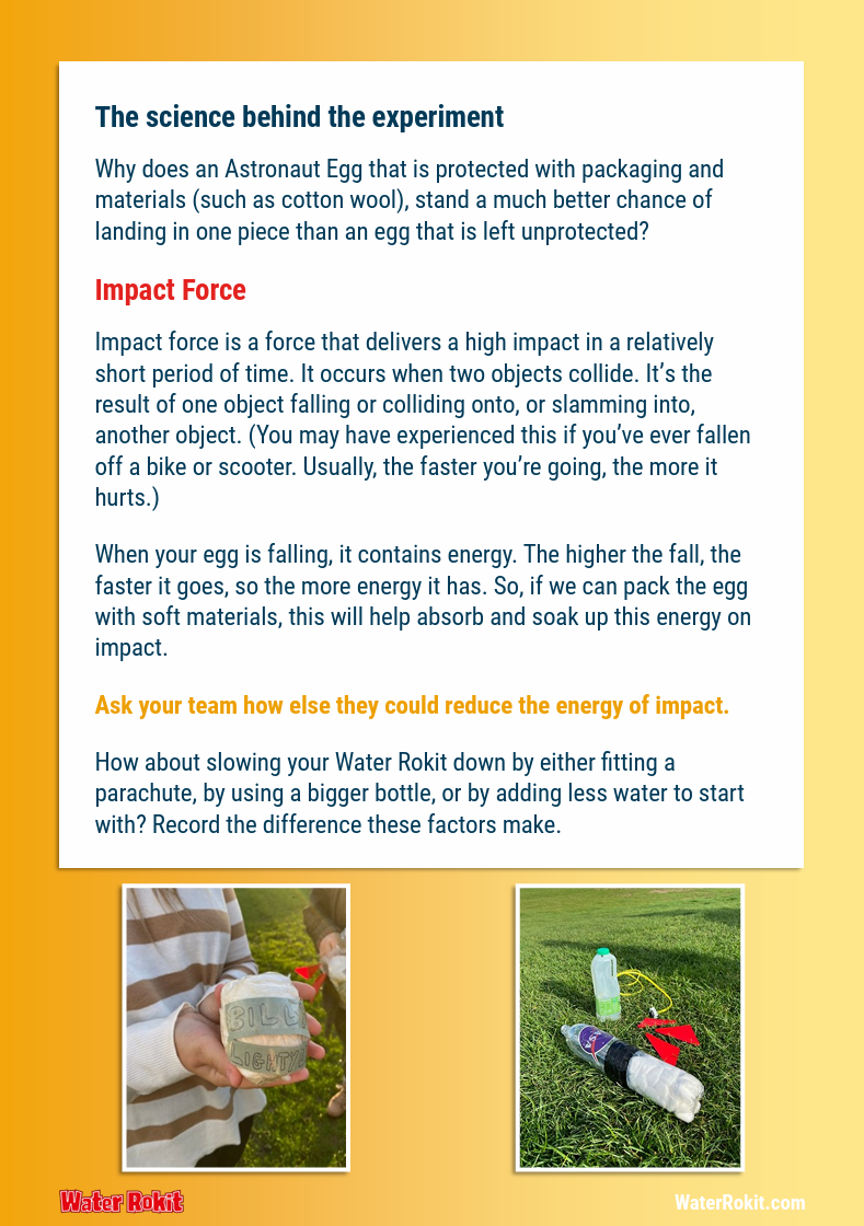 Astronaut Egg Experiment - page 3