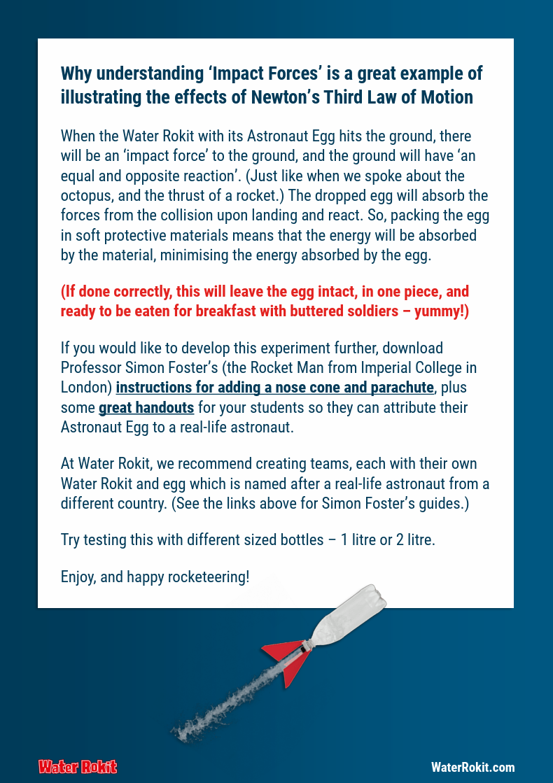 Astronaut Egg Experiment - page 4