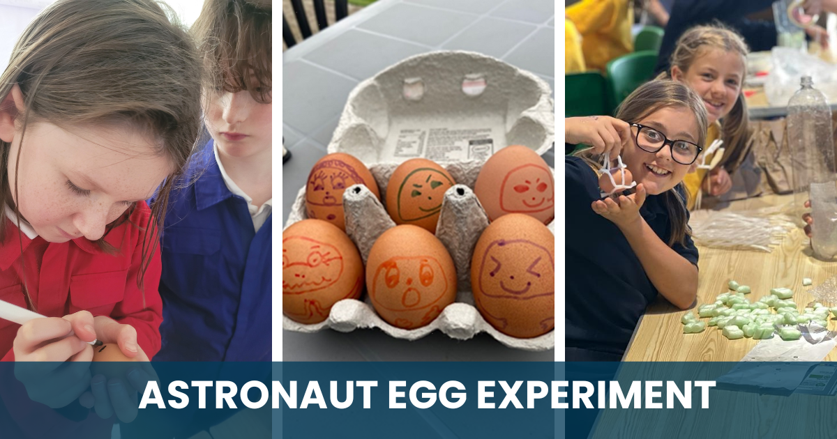Astronaut Egg Experiment