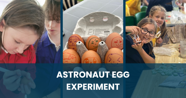 Experiment - Astronaut Egg